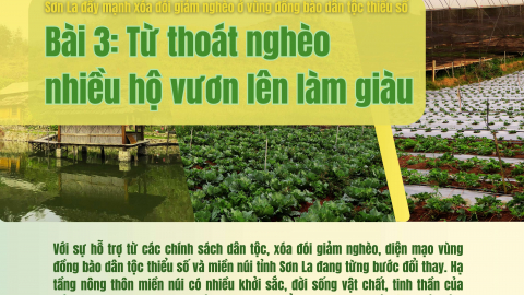Bài 3: Từ thoát nghèo nhiều hộ vươn lên làm giàu