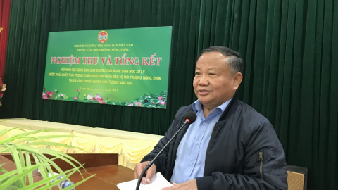 Nông dân An Lão áp dụng đệm lót sinh học trong chăn nuôi được lợi kép bò khoẻ, môi trường lại trong lành