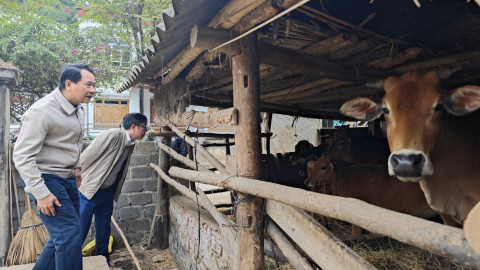Hỗ trợ nông dân Nghĩa An xử lý chất thải trong chăn nuôi