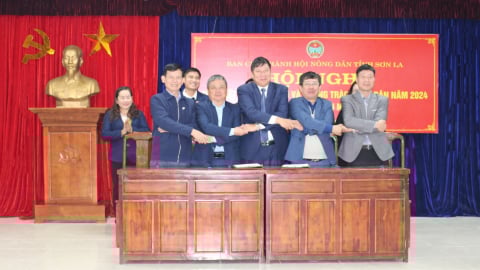 Sơn La: Phát huy hiệu quả vai trò của Hội Nông dân các cấp