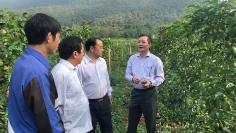 Phát huy vai trò chủ thể, trung tâm của nông dân trong phát triển nông nghiệp, kinh tế nông thôn và xây dựng nông thôn mới