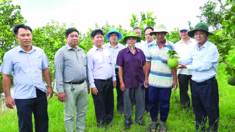 Phát huy vai trò xung kích của nông dân giỏi