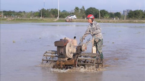 Nông dân Nam Định hào hứng xuống đồng đầu Xuân mới