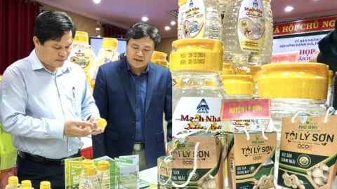 Bước ngoặt của OCOP Quảng Ngãi: Sau khi có 2 sản phẩm 5 sao, tỉnh tuyên bố tập trung vào chất lượng thay vì số lượng