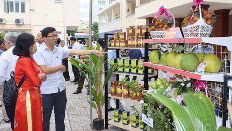 Hội chợ OCOP lớn nhất năm của Quảng Ngãi sắp diễn ra: Cơ hội nào cho Tỏi Lý Sơn và Mạch nha Mộ Đức?