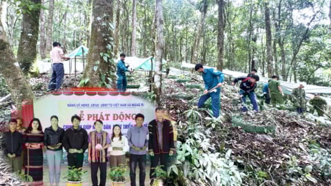 Ấm lòng 'thủ phủ' sâm Ngọc Linh: Hơn 1,8 tỷ đồng 'tiếp sức' người dân Măng Ri sau bão lũ 