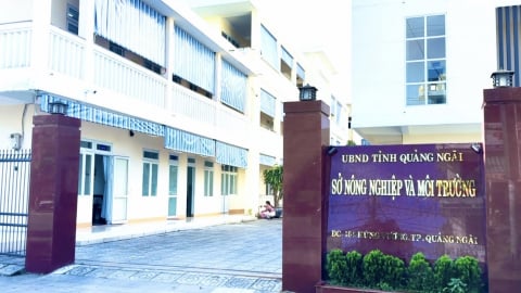Quảng Ngãi bác tin đồn 'sai sót' trong đấu giá 15 mỏ khoáng sản, khẳng định áp dụng đúng luật