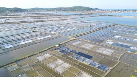 Quảng Ngãi chi gần 4,3 tỷ đồng xây dựng Bảng giá đất áp dụng cho năm 2026