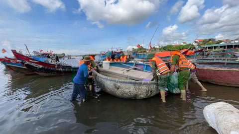  Hơn 8.200 tàu thuyền với 22.000 lao động trên biển Quảng Trị đã vào nơi trú bão an toàn
