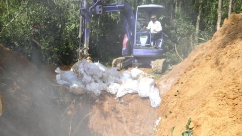 Quảng Ngãi: Thở phào dập tắt ổ dịch cúm H5N1, chặn nguy cơ 'dịch chồng dịch'