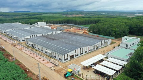 Quảng Ngãi có nhà máy chế biến nông sản và dược liệu hiện đại hơn 500 tỷ đồng