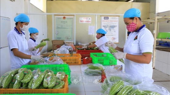 Đồng Tháp xây dựng vùng nông sản an toàn, bền vững, gìn giữ môi trường