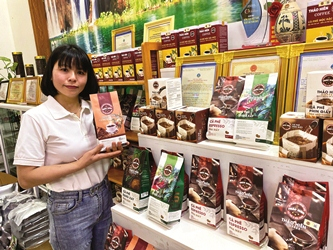 Sản xuất cà phê sạch thu lãi hàng tỷ đồng