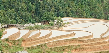 Đẹp ngỡ ngàng mùa nước đổ ở Mù Căng Chải