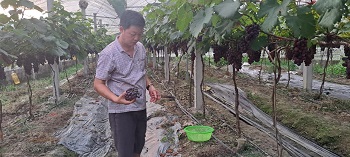 Cán bộ Hội gương mẫu, nói đi đôi với làm