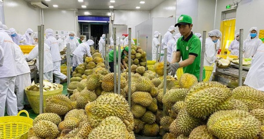 Đắk Lắk: Cần xây dựng và quản lý hiệu quả hệ thống mã vùng trồng nông sản đặc thù
