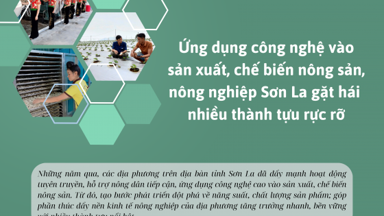  Ứng dụng công nghệ vào nông nghiệp, Sơn La gặt hái nhiều thành tựu rực rõ