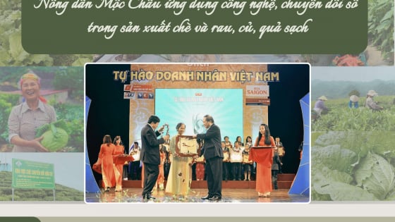 Nông dân Mộc Châu ứng dụng công nghệ, chuyển đổi số trong sản xuất chè và rau, củ, quả sạch