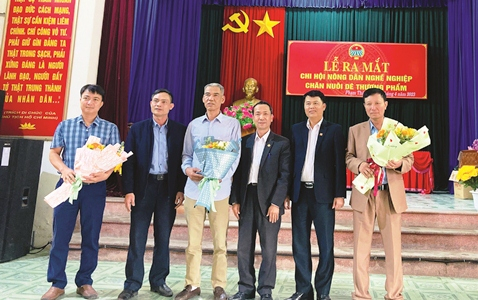 “Cần cán bộ Hội nhiều kinh nghiệm về xây dựng chi, tổ hội”