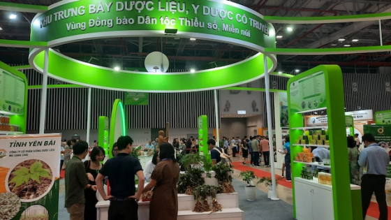 Hội chợ dược liệu 2024: Tiềm năng thị trường còn rất lớn đối với vùng nguyên liệu dược 