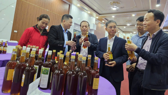 Nông dân Nghệ An liên kết nuôi ong lấy mật theo chuỗi