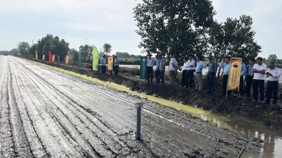 Long An khởi động Đề án phát triển 125.000ha lúa chất lượng cao, phát thải thấp