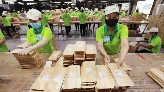 Tăng trưởng 21%, xuất khẩu gỗ dự kiến thu về 16 tỷ USD