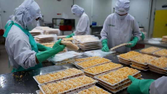 Dự báo quan hệ thương mại Việt Nam-Hoa Kỳ trong bối cảnh mới 