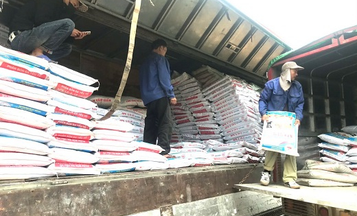 Phân bón Văn Điển - lựa chọn thông minh của nông dân cho vùng đất chua trũng ở Hà Tĩnh