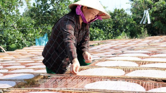 Làng nghề bánh tráng Mỹ Lồng (Bến Tre) hối hả vào Xuân
