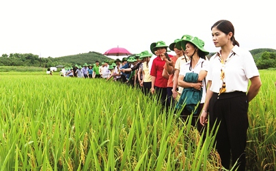 Một số đề xuất về quan điểm, chủ trương nhằm nâng cao vị thế của nông dân Việt Nam khi bước vào kỷ nguyên mới