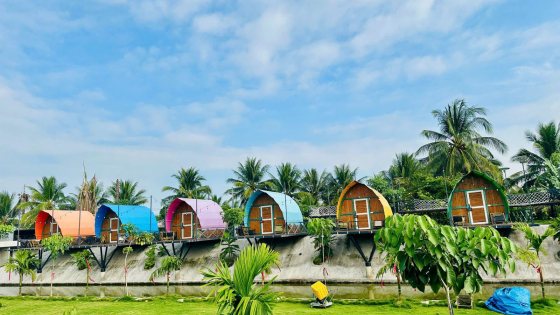 Tết về miền Tây để \'sống xanh\', chơi vui và khám phá nông nghiệp