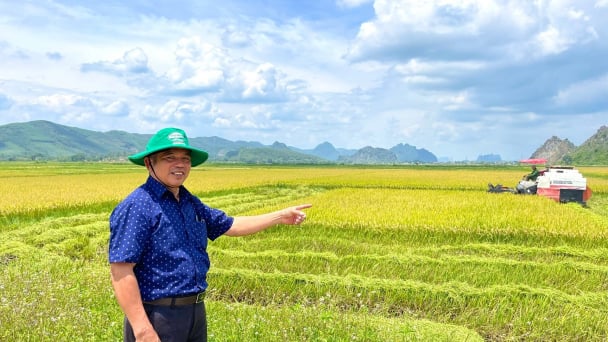 Khi máy bay không người lái sải cánh trên đồng lúa hữu cơ: Cuộc cách mạng nông nghiệp ở xã nghèo sau sáp nhập