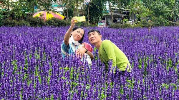  'Trái tim' mới của Lâm Đồng đặt mục tiêu du lịch 'đẳng cấp thế giới'