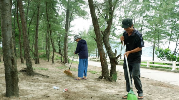 Những người giữ rừng phi lao Đà Nẵng: Mưu sinh bằng quán nước nhỏ, trở thành 'tai mắt' bảo vệ rừng