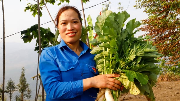 Câu chuyện khởi nghiệp của Cháng Thị Chẳm - nữ 9X vùng cao Xín Mần