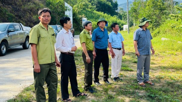 Hơn 17.500 ha không cháy suốt cao điểm: Bí quyết của lực lượng trực 24/24