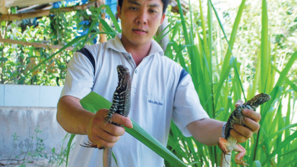 Trang trại tiền tỷ của chàng kỹ sư máy tính