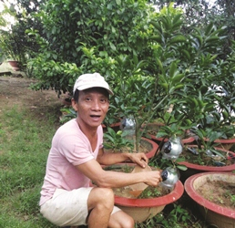 Bưởi Tân Triều - Đặc sản cho thu nhập cao ở Đồng Nai