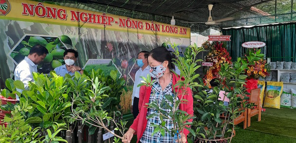 Nông dân Long An có thêm địa chỉ chọn giống cây trồng chất lượng tốt