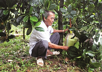 Thay đổi tư duy sản xuất để làm giàu