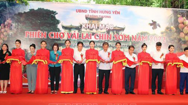 Khai mạc phiên chợ vải lai chín sớm tại Hưng Yên