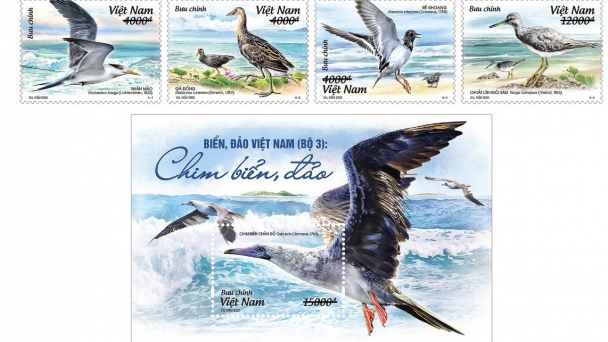 Phát hành bộ tem “Biển, đảo Việt Nam: Chim biển, đảo”