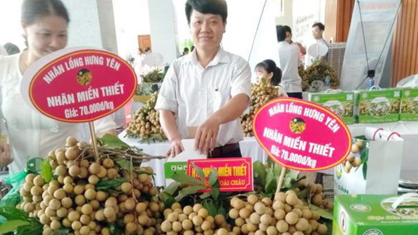 Nhãn Miền Thiết - đặc sản OCOP 4 sao của “đất nhãn” Hưng Yên