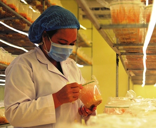 Thành công từ khát khao xây dựng quê hương giàu đẹp