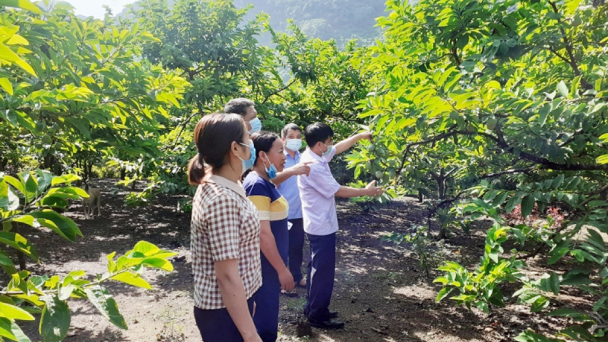 Những người “nông dân số” ở vùng cao