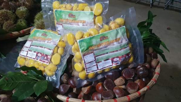 Nông dân Lạng Sơn thu nhập hàng trăm triệu đồng từ cây hạt dẻ