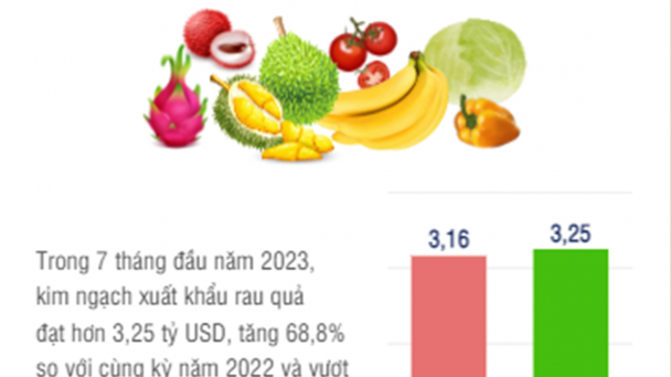 7 tháng đầu năm 2023, xuất khẩu rau quả vượt cả năm 2022