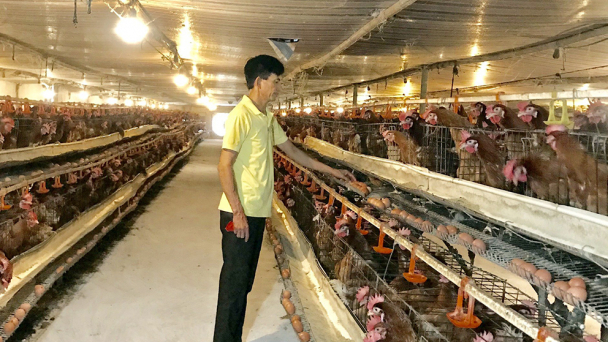 Thành tỷ phú từ thương hiệu “trứng gà Cẩm Đông”