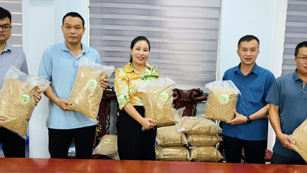 Bàn giao cho nông dân giống lúa Nếp Tài của người Dao đã được phục tráng 